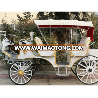 Double-Row Electric Horse-Drawn Carriage.